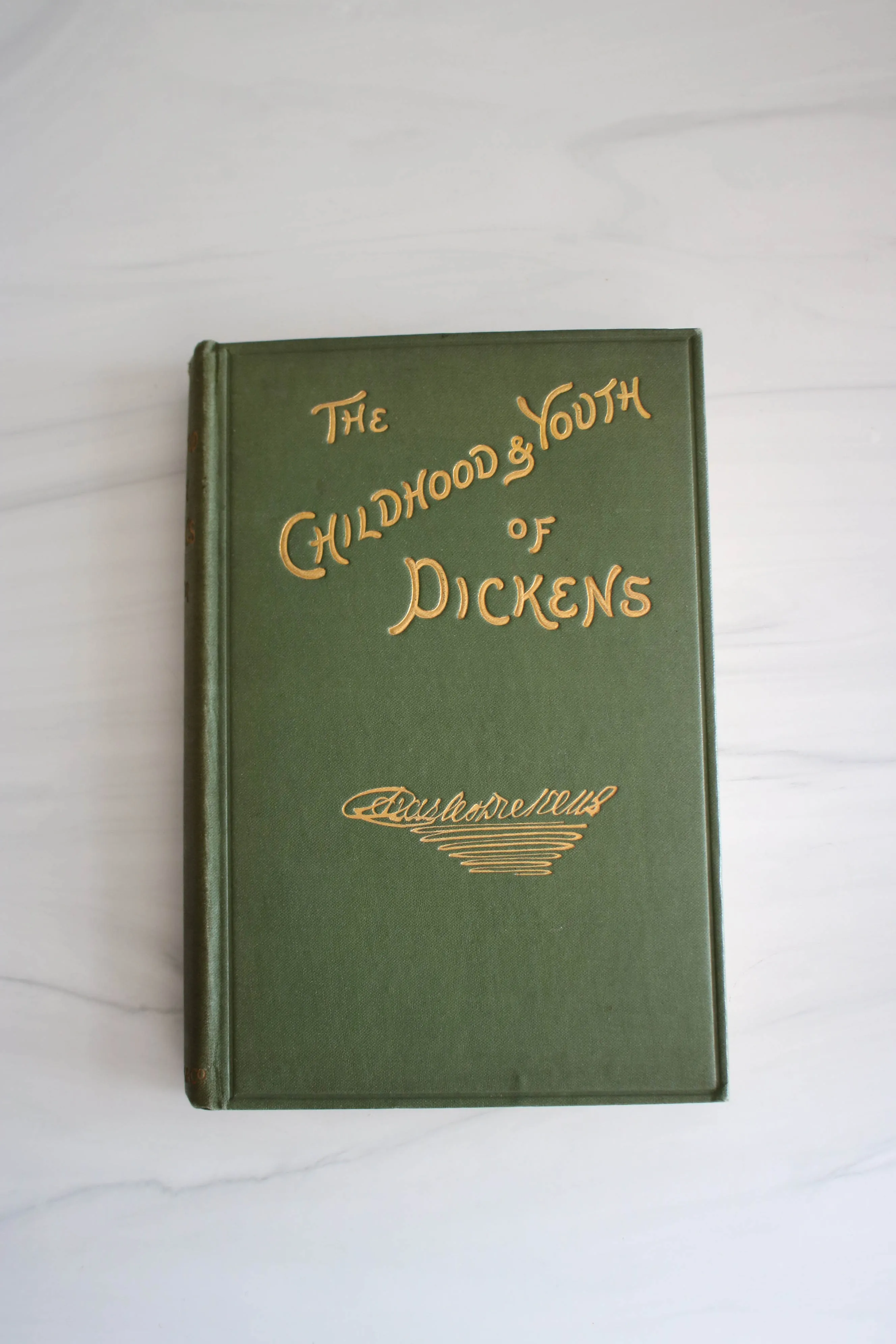 -The Childhood & Youth of Dickens