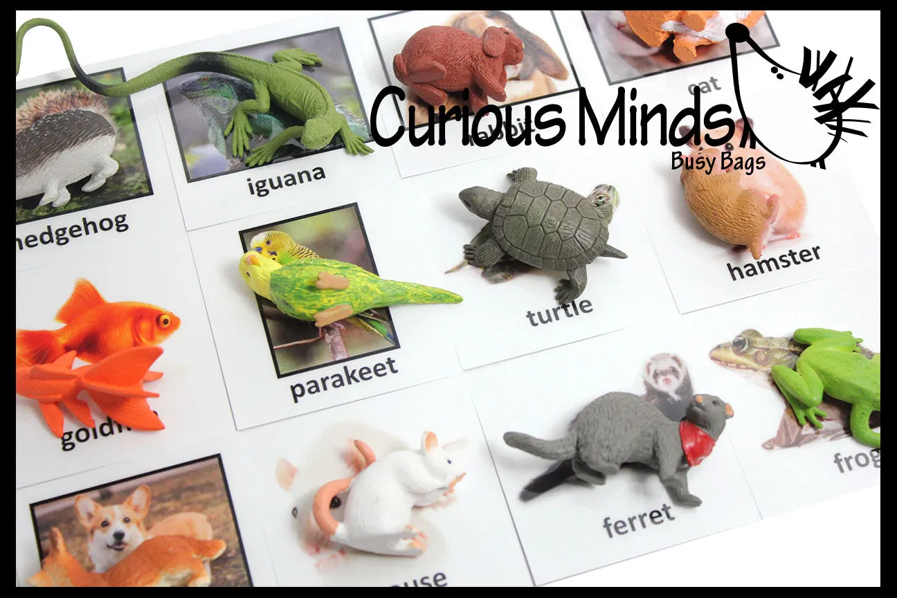 Animal Match - PETS - Miniature Animals with Matching Cards - 2 Part Cards.  Montessori learning toy, language materials - Pet Animals