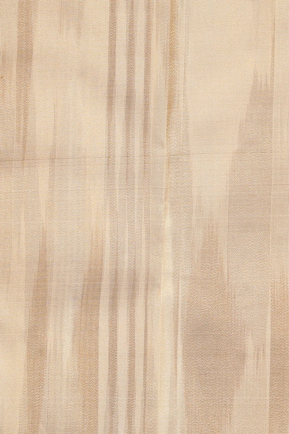 Arani Silk Classy Beige Saree