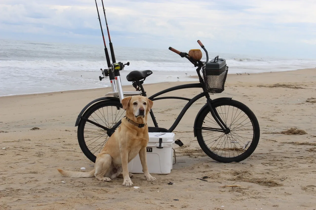 Fish N Mate Bicycle Fishing Rod Holder