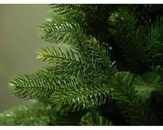 Freiburg Pine-8ft