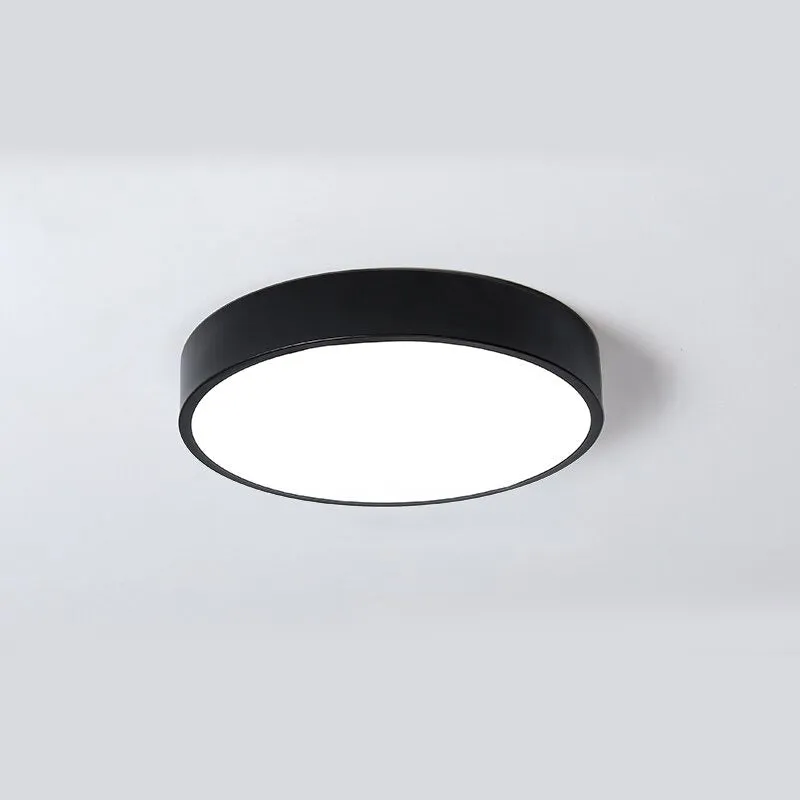 LED Ceiling Light Corridor Art Gallery Decoration Front Balcony Lamp