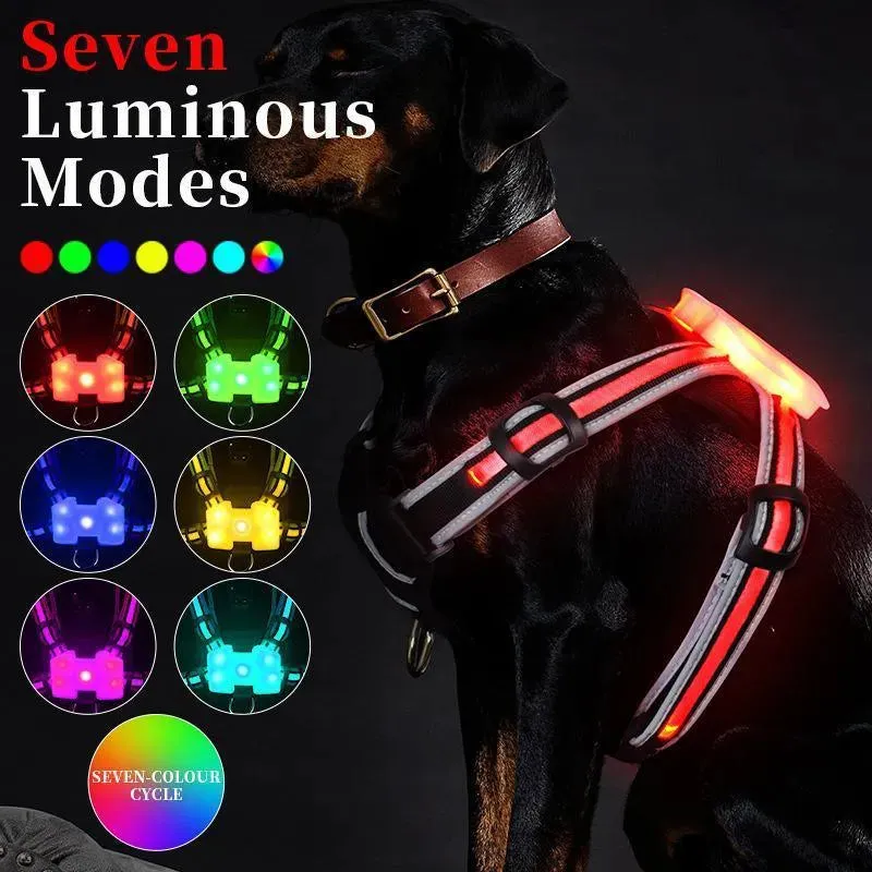 LED Luminous Dog Walking Vest