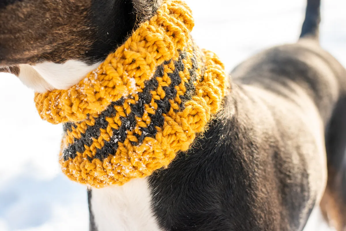 Matching House Pride Beanie & Cowl Set