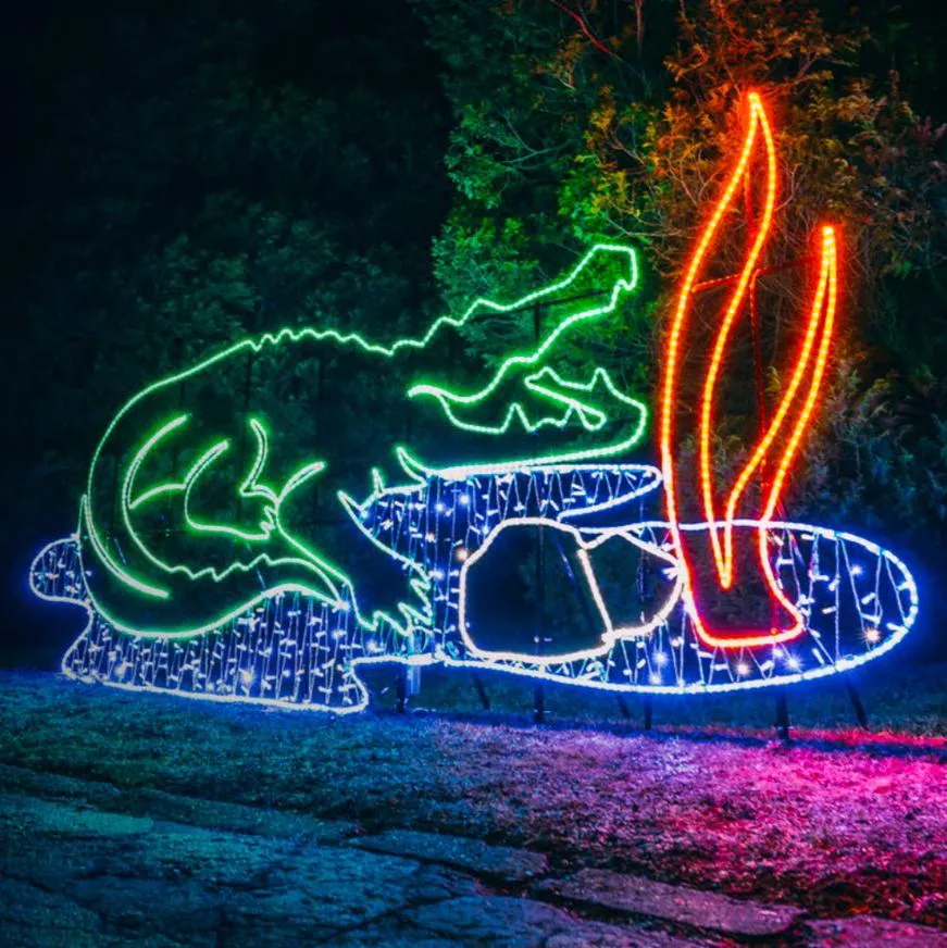 NEON CROCODILE PHOTO OP