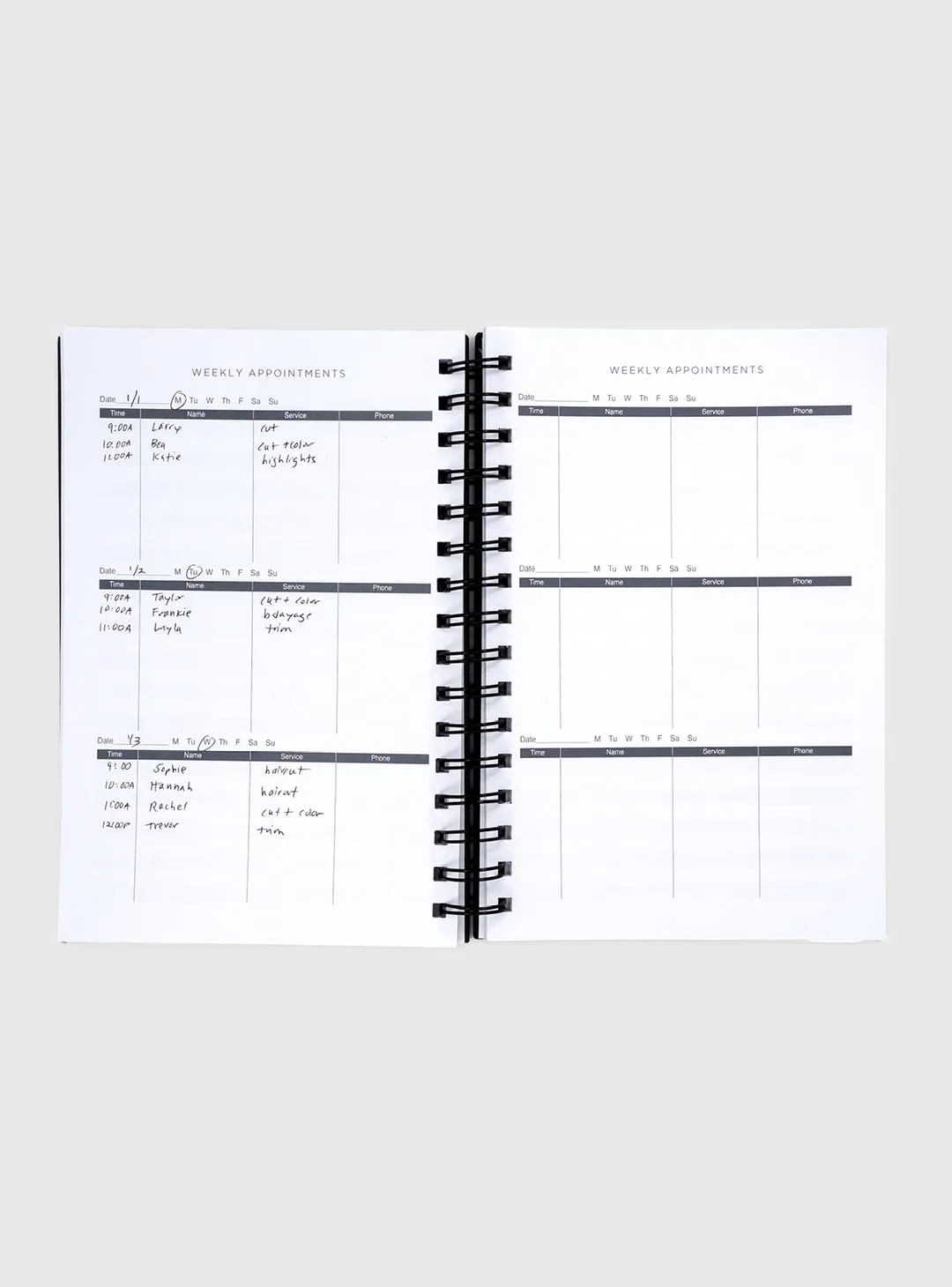 Personal Appointment Book