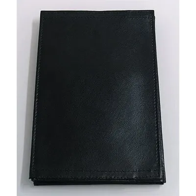 Pickpocket Passport by Alan Wong & Gregory Wilson