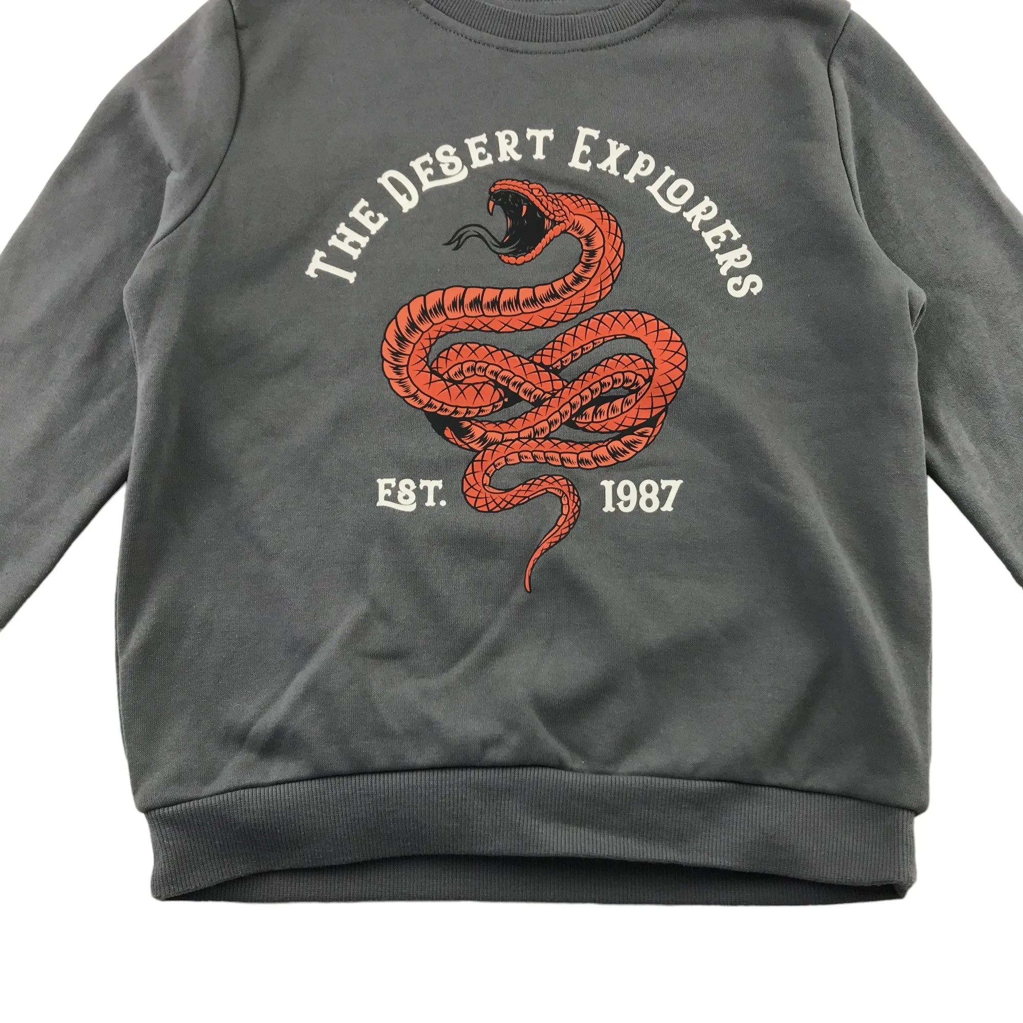 Primark sweater 7-8 years grey snake graphic print