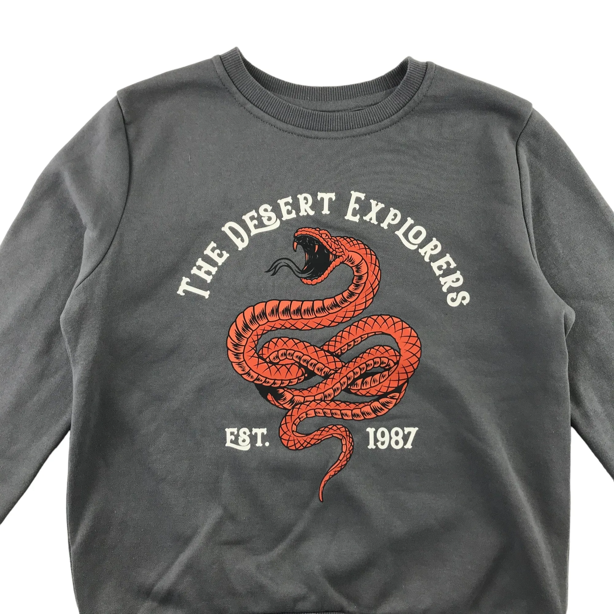 Primark sweater 7-8 years grey snake graphic print