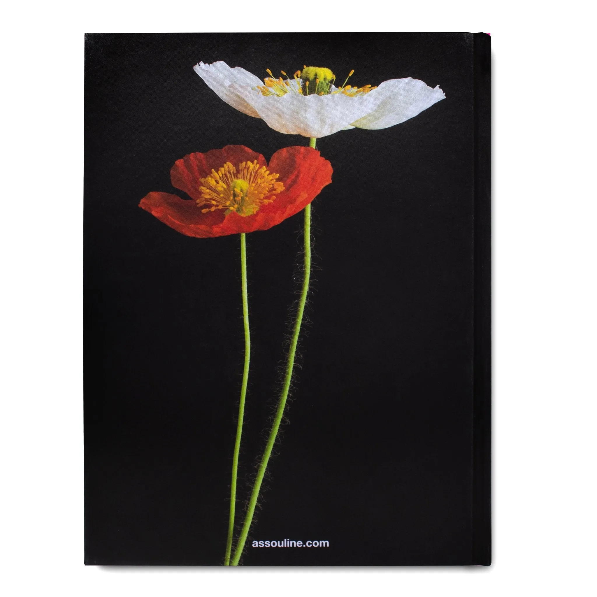 "Flowers: Art & Bouquets"