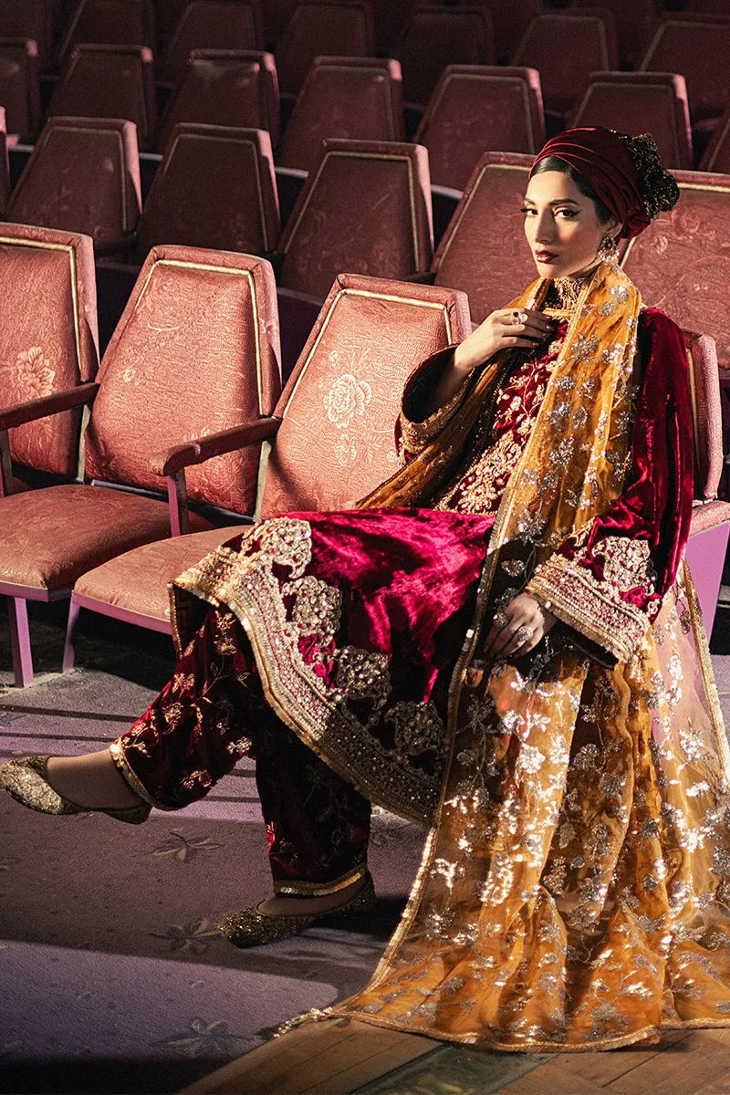 Roxy Cinema Velvet Edit FW 24/25 -  Shabnam