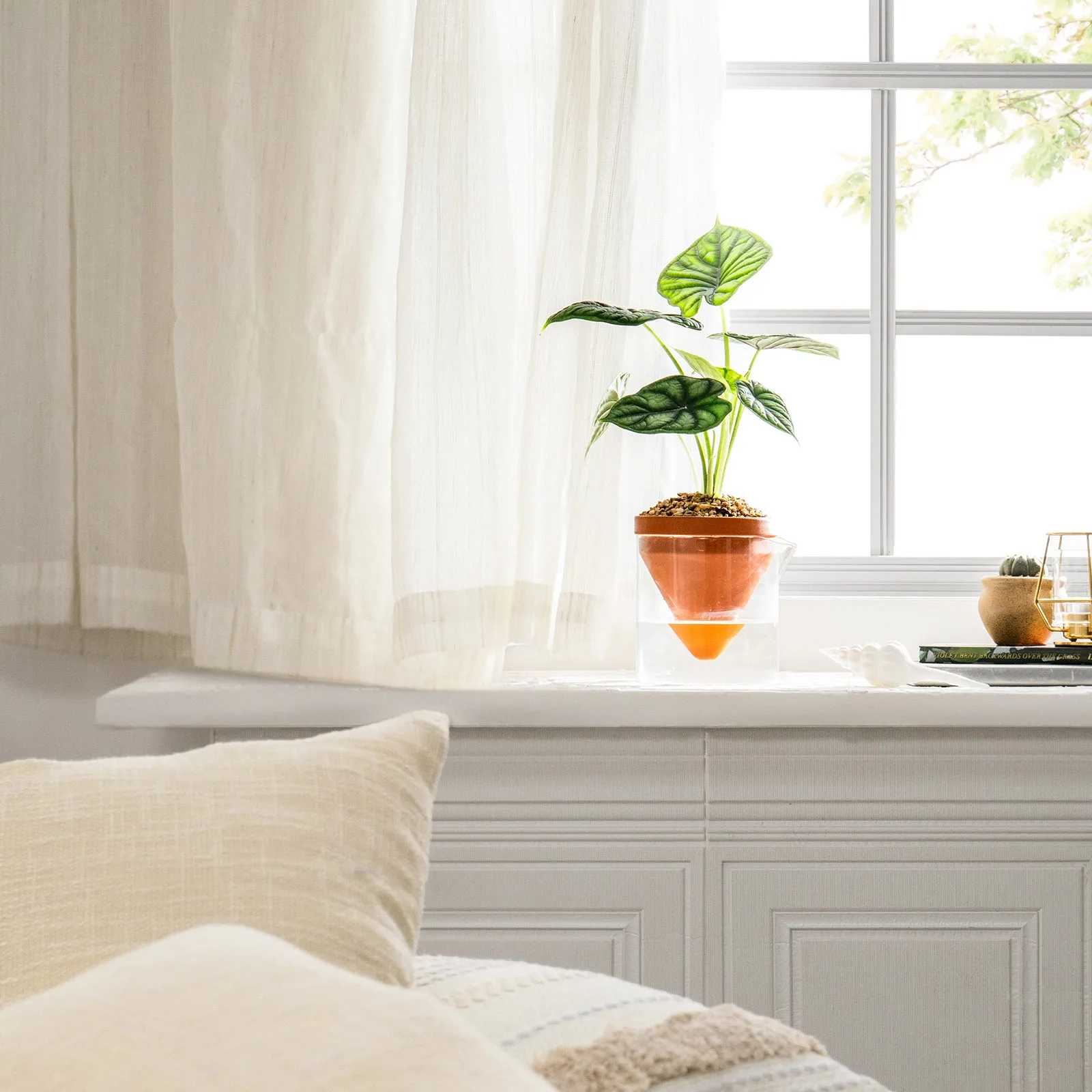 Self Watering Plant Pots