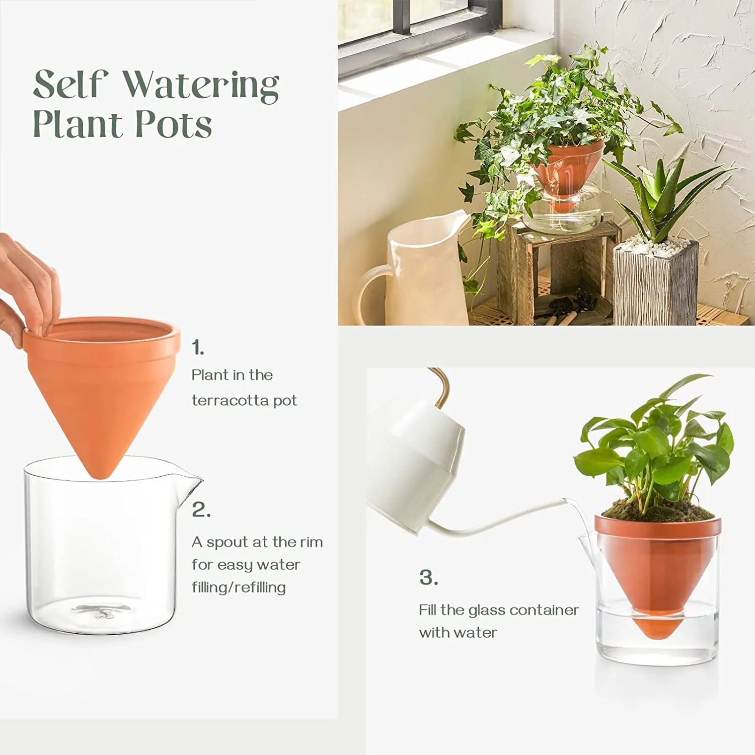 Self Watering Plant Pots