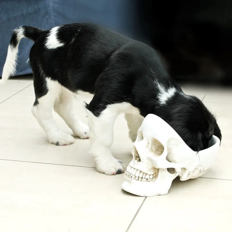 Suck UK Skull Tidy Organizer