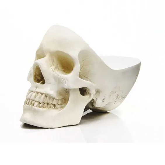Suck UK Skull Tidy Organizer
