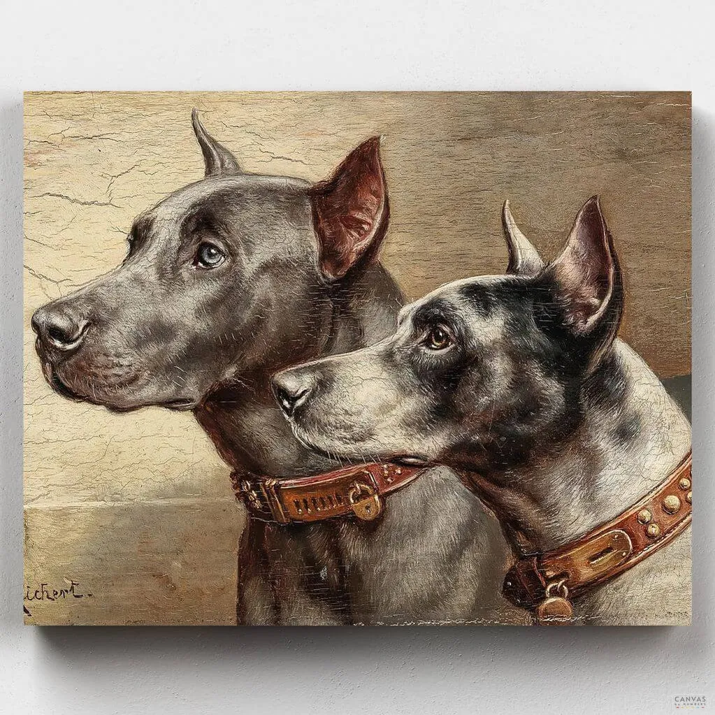 Two Friends - Great Dane Painting by Numbers Kit