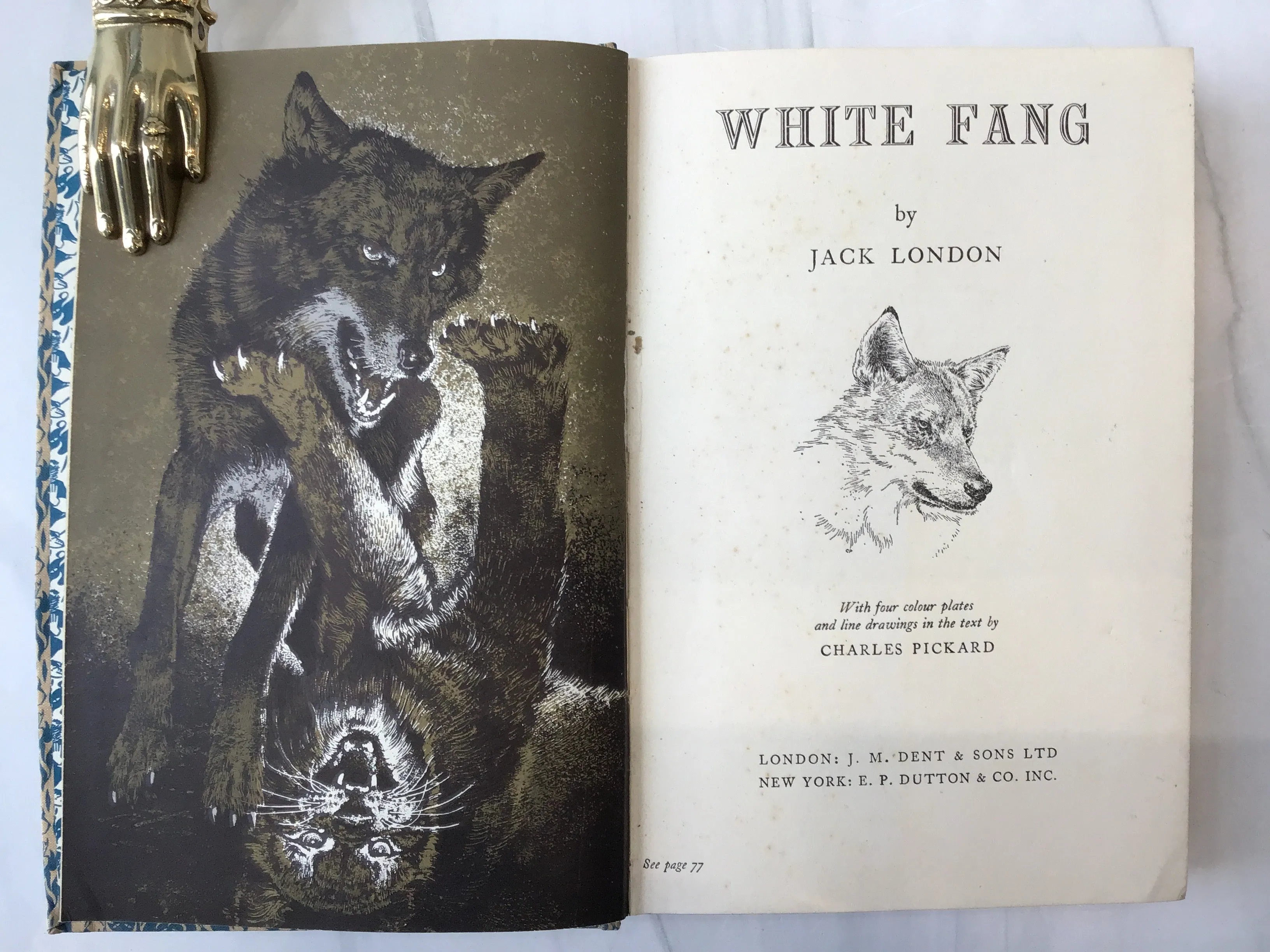 White Fang*